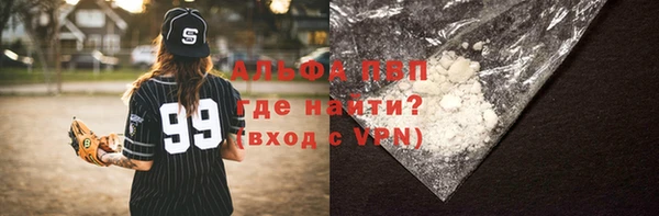 спиды Алзамай