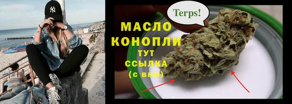 СК Алексин