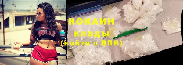 спиды Алзамай