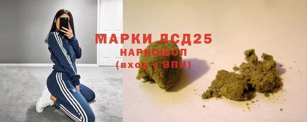СК Алексин
