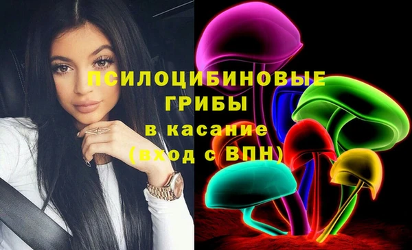 СК Алексин