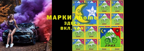 СК Алексин